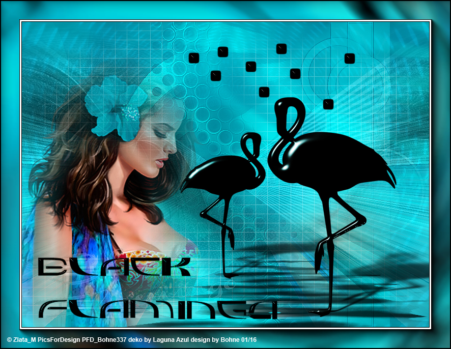 [Bild: bohne-black-flamingo-ps.jpg]