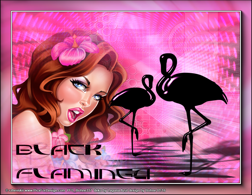 [Bild: bohne-black-flamingo-psp.jpg]