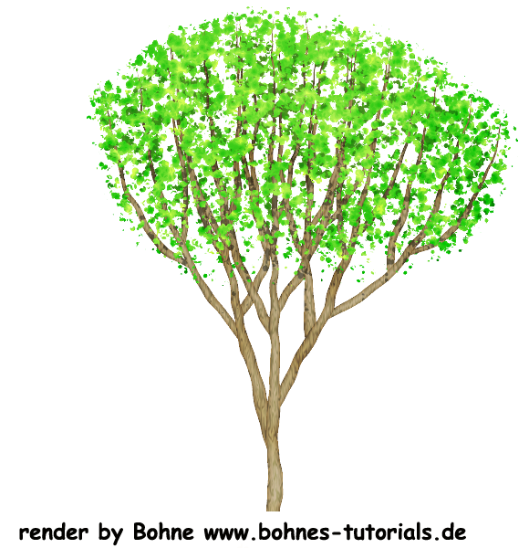 [Bild: bohne-tree-003.png]