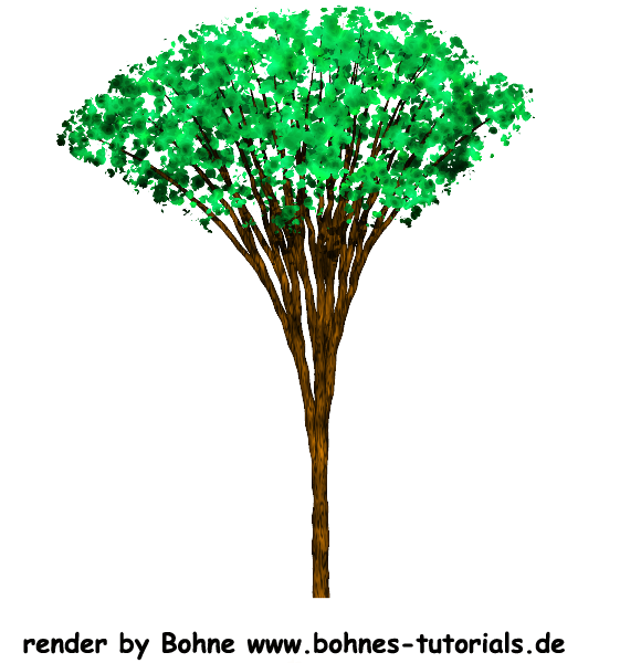 [Bild: bohne-tree-005.png]