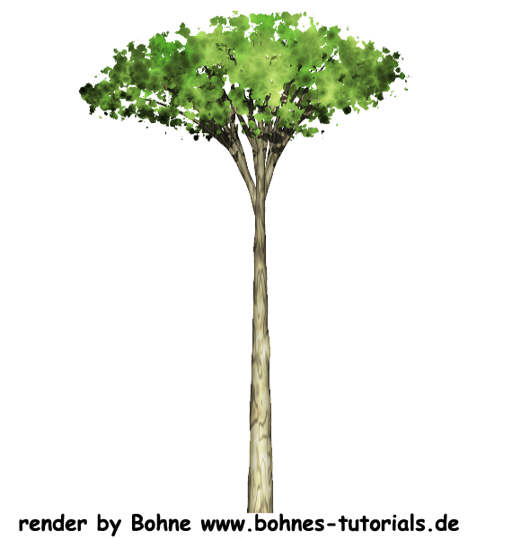 [Bild: bohne-tree-006.png]