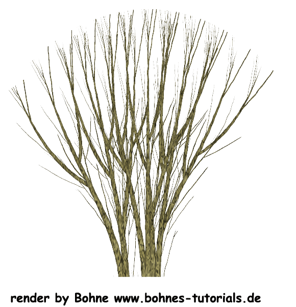 [Bild: bohne-tree-015.png]