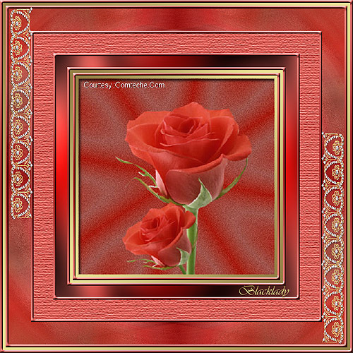 erstellt von Blacklady