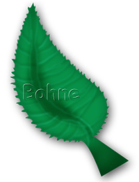 Rosenblatt mit Vektor